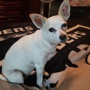 Meet your Posher, Angelina